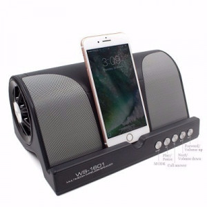 Portable Audio